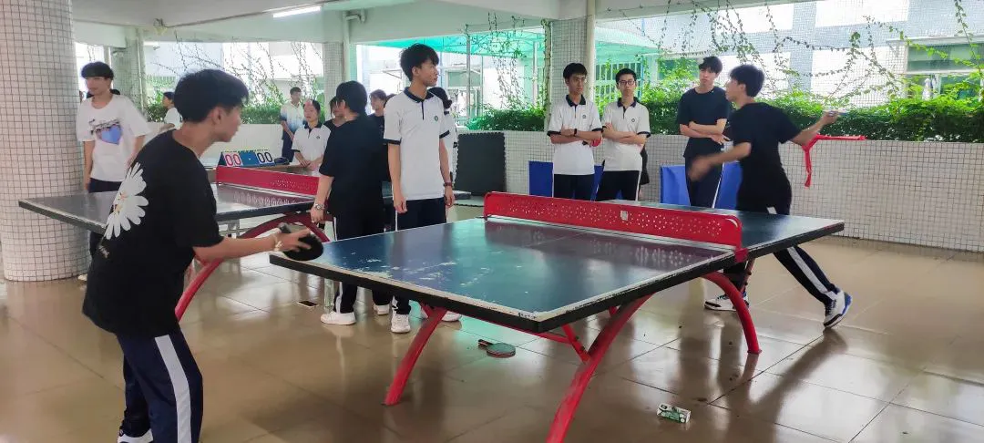 哪里可以找到专业的篮球教练_2